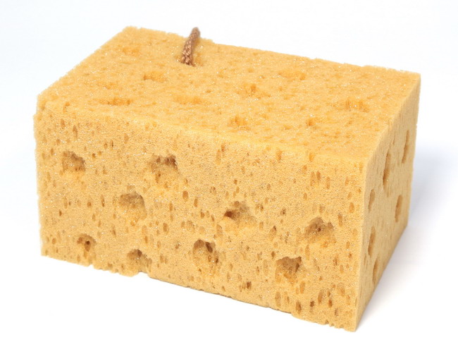 Miếng mút lau rửa ô tô và xe máy